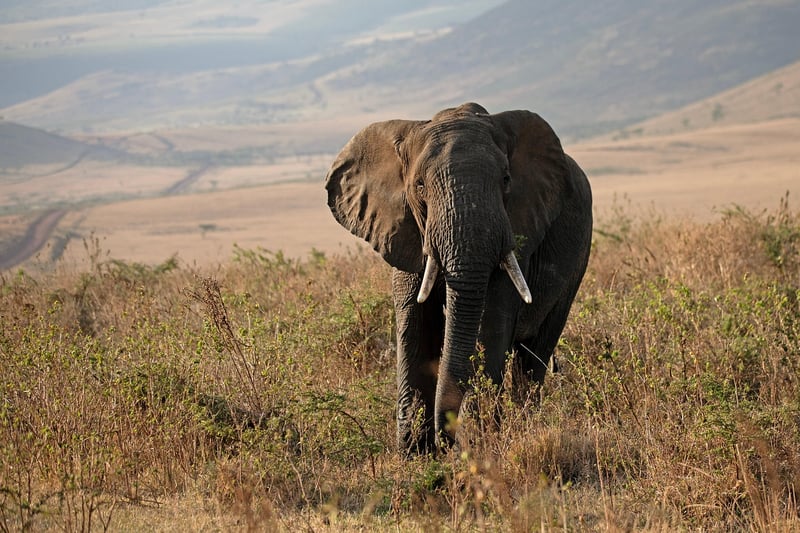 Serengeti National Park